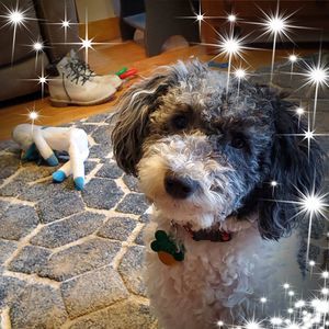 Meet your Posher, Mary